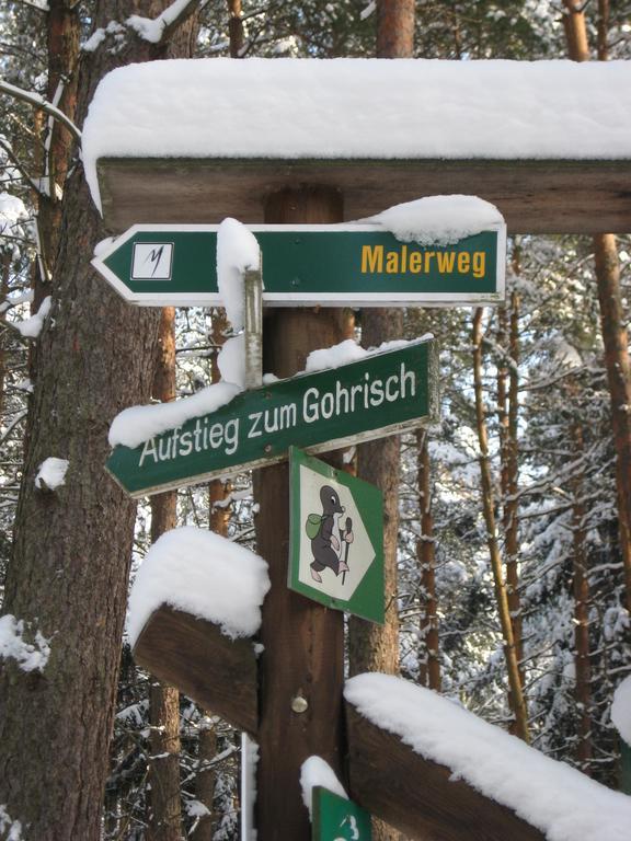 Ferienwohnung Am Waeldchen Kurort Gohrisch Zewnętrze zdjęcie